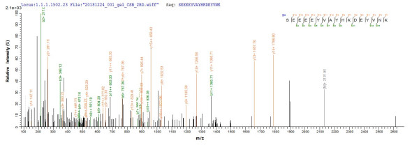 Envelope glycoprotein B (gB), partial, human herpesvirus 7, recombinant