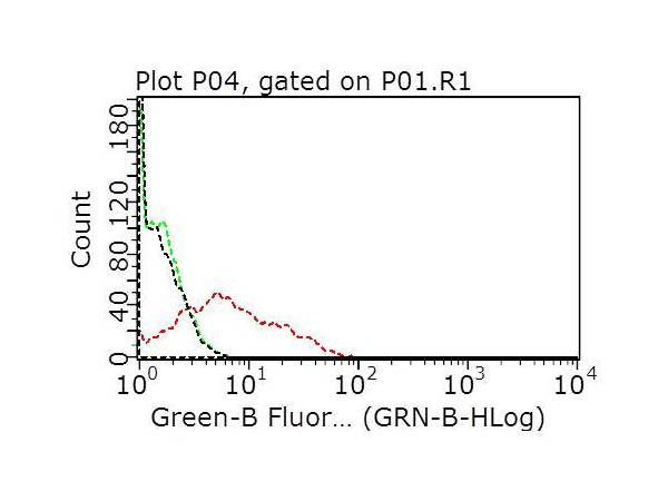 Recombinant Anti-HER2 Fab antibody