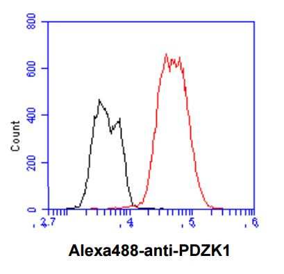 Anti-PDZK1, clone 1A2