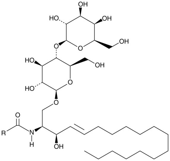 Lactosylceramide (porcine RBC)