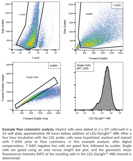 LDL Uptake Flow Cytometry Assay Kit