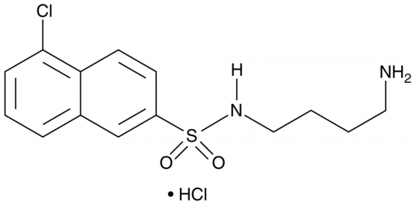 W-13 (hydrochloride)