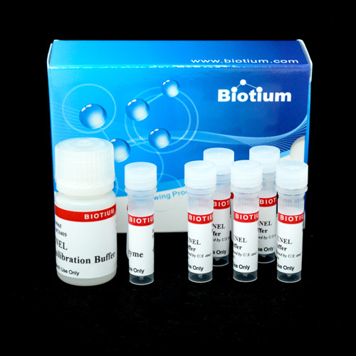 CF(R)488A TUNEL Assay Apoptosis Detection Kit