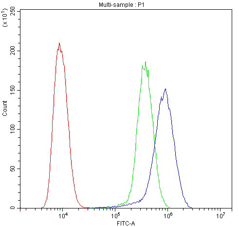 Anti-GSTM1, clone 11F2