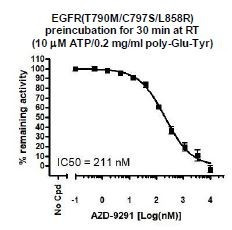 EGFR (T790M/C797S/ L858) Kinase Assay Kit