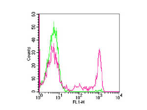 Anti-CD8, clone RPA-T8, Fluorescein Conjugated