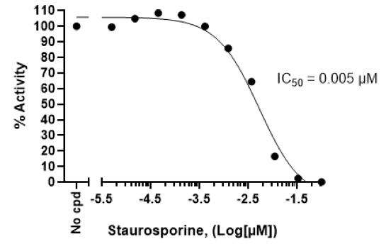 Chemi-Verse(TM) Kinase Aurora C Assay Kit