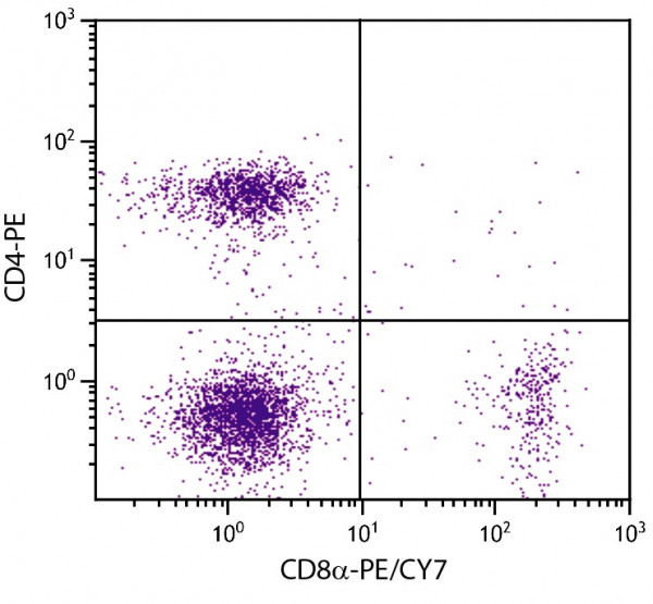 Anti-CD8a (PE-Cy7), clone 53-6.7