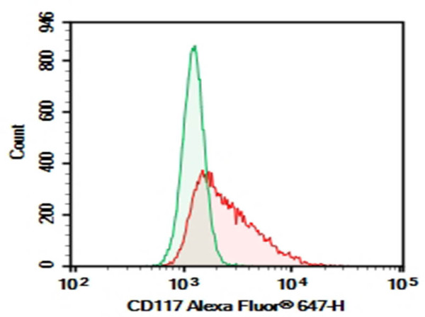 Purified Anti-Human CD117 Antibody [104D2]