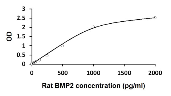 Rat BMP2 ELISA Kit