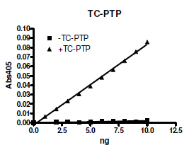 TC-PTP, active human recombinant protein