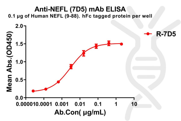 Anti-NEFL(9-88) antibody(7D5), Rabbit mAb