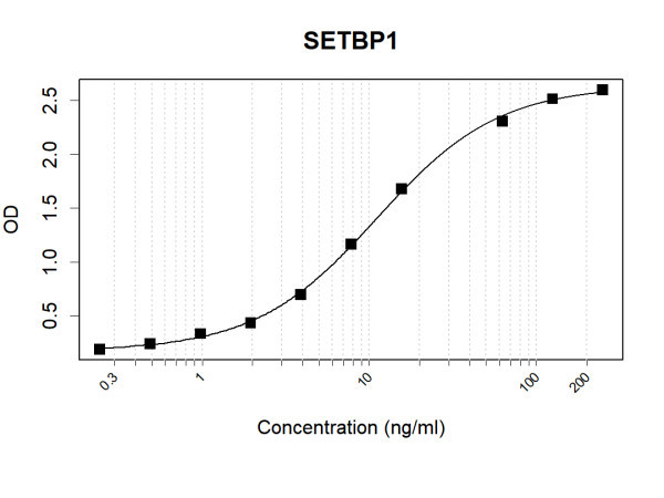 Anti-Human SETBP1 Antibody Pair