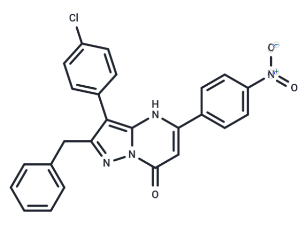 NAV-2729