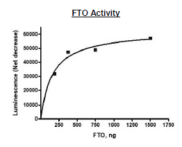 FTO, His-Tag (Sf9 derived)