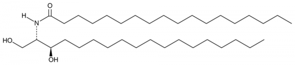 C18 dihydro Ceramide (d18:0/18:0)