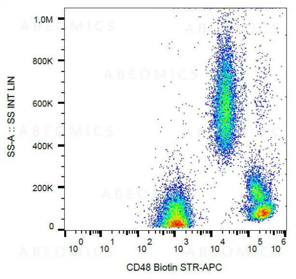 Anti-CD48 / BLAST-1 Monoclonal Antibody (Clone:MEM-102)-Biotin Conjugated