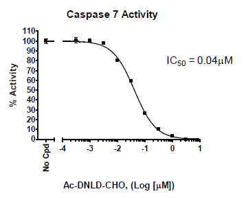 Caspase-7 Homogeneous Assay Kit