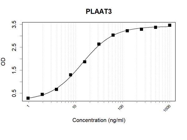 Anti-Human PLAAT3 Antibody Pair