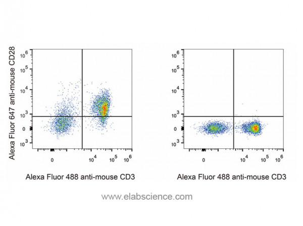 Anti-Mouse CD28 (AF647 Conjugated) [37.51](AGEL0765)