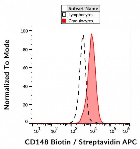 Anti-CD148, clone MEM-CD148/05 (biotin)