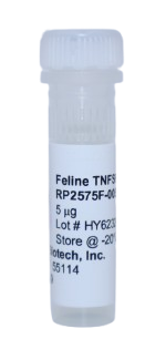 Recombinant Protein (TL1A), tnfsf15 feline (ftnTNFSF15)