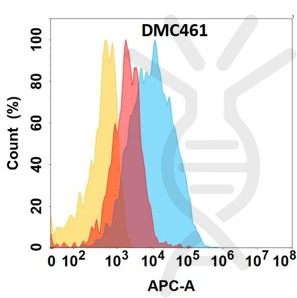 Anti-CLU antibody(DMC461), IgG1 Chimeric mAb