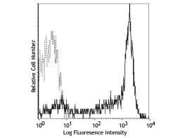 Anti-CD62L Phycoerythrin Conjugated, clone DREG-56