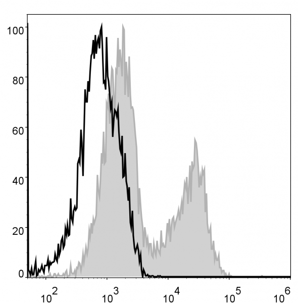 Anti-MHC II (I-A/I-E) (mouse), clone M5/114, PerCP-conjugated