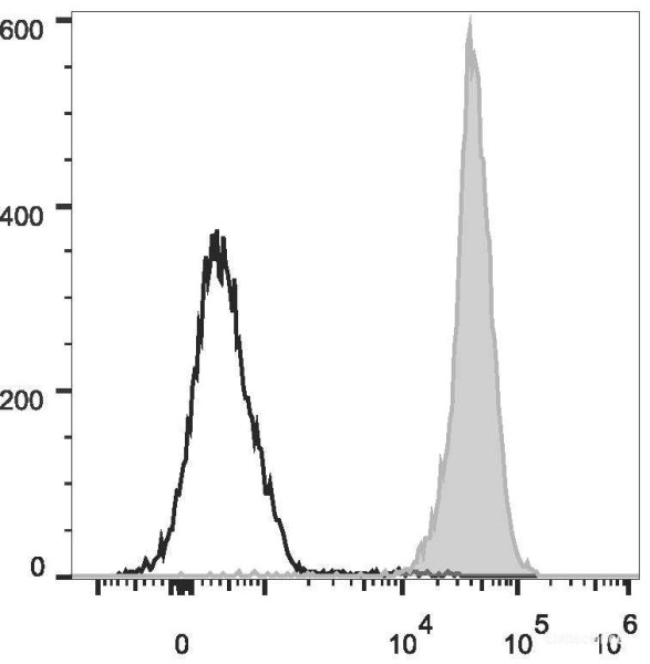 Anti-Rat CD45 (PE Conjugated)[OX-1], clone OX-1