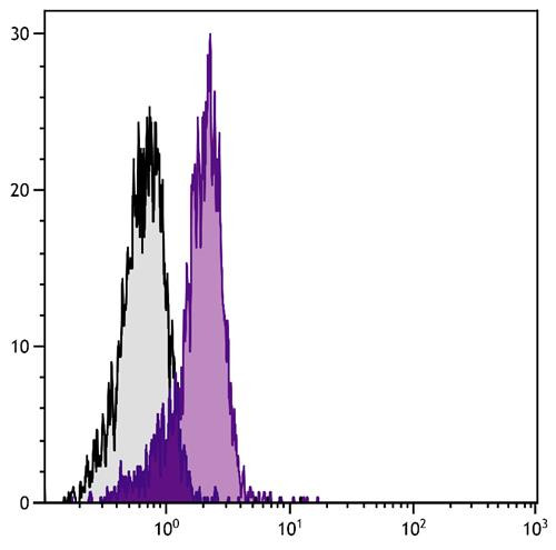 Anti-CD31 (FITC), clone 390