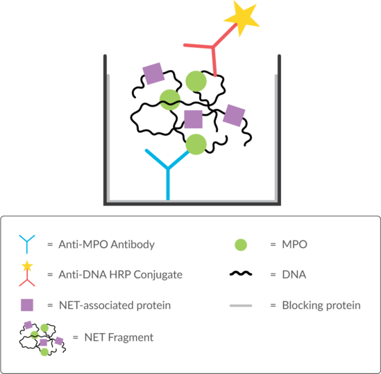 NET Fragment Assay Kit (MPO-DNA)