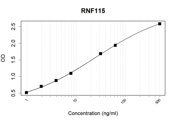 Anti-Human RNF115 Antibody Pair