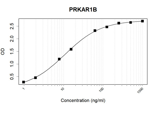 Anti-Human PRKAR1B Antibody Pair