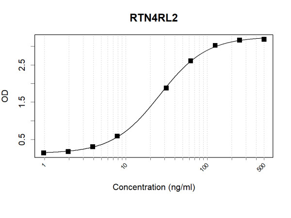 Anti-Human RTN4RL2 Antibody Pair