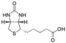 Biotin (D-Biotin, Vitamin H, Coenzyme R, Bioepiderm) (Vitamin H, Coenzyme R, Bioepiderm)