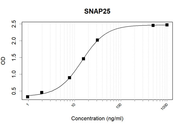 Anti-Human SNAP25 Antibody Pair