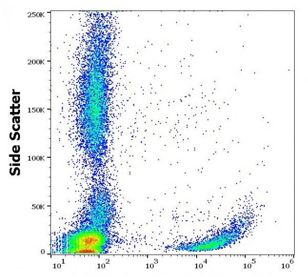 Anti-CD42b, clone HIP1