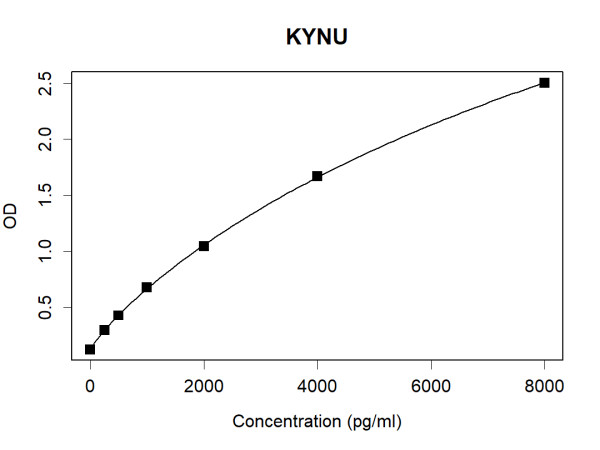 KYNU (human) Antibody Pair