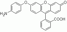 ROS Brite(TM) APF