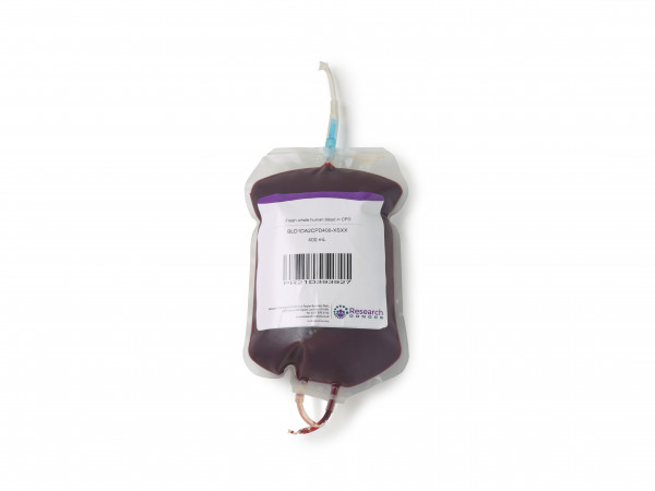 Fresh whole human blood in CPD - female donor - chilled overnight delivery