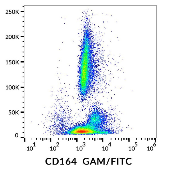 Anti-CD164, clone 67D2