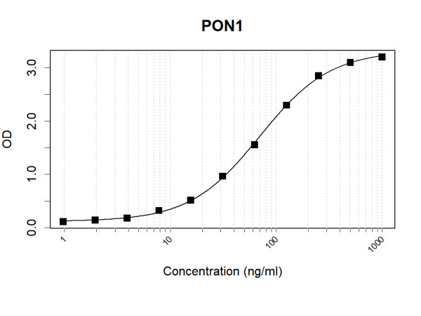 Anti-Human PON1 Antibody Pair