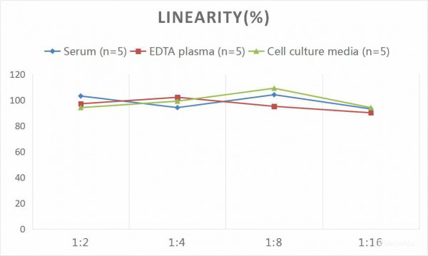 Mouse APO-E (Apolipoprotein E) CLIA Kit