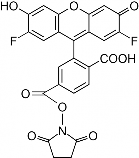 6-OG488 succinimidyl ester [similar to Oregon Green(R) 488 carboxylic acid, succinimidyl ester, 6-is