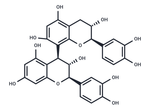 Procyanidin B3
