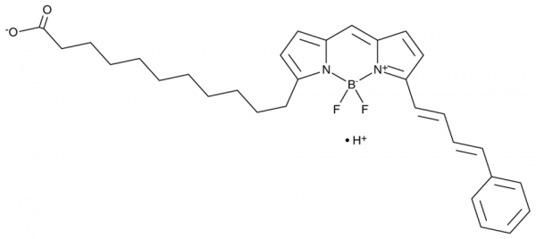 C11 BODIPY 581/591