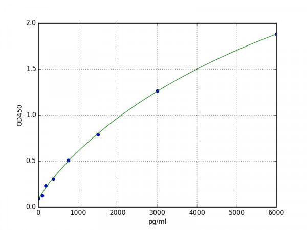 Human CAML1 / CD171 ELISA Kit