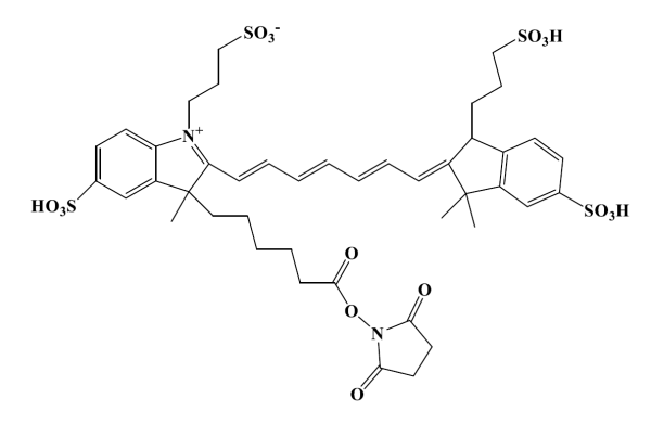 UGA 750 NHS ester [equivalent to Alexa Fluor 750 NHS ester]