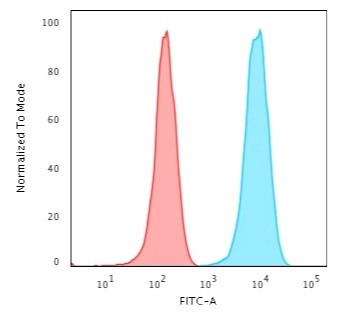 Anti-CD3e (T-Cell Marker), clone B-B12